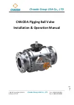 CHAODA Pigging Ball Valve Installation & Operation Manual preview