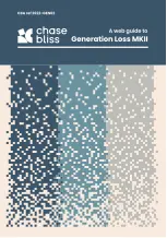 Preview for 1 page of Chase Bliss Audio Generation Loss MKII Web Manual