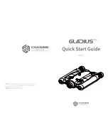 Preview for 1 page of Chasing Gladius Standard Pro Quick Start Manual