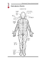 Предварительный просмотр 33 страницы Chattanooga Primera Operation Manual