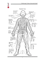 Предварительный просмотр 34 страницы Chattanooga Primera Operation Manual