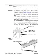 Предварительный просмотр 43 страницы Chauvet Freedom Par RGBA User Manual