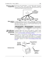 Предварительный просмотр 56 страницы Chauvet FreedomPar HEX-4 Quick Reference Manual