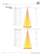 Предварительный просмотр 32 страницы Chauvet Rogue R2X Spot User Manual