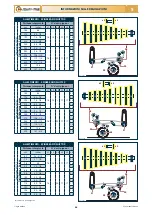 Preview for 28 page of Checchi & Magli FOX DRIVE PLUS Use And Maintenance Manual