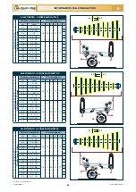 Preview for 29 page of Checchi & Magli FOX DRIVE PLUS Use And Maintenance Manual