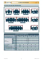 Preview for 97 page of Checchi & Magli FOX DRIVE PLUS Use And Maintenance Manual