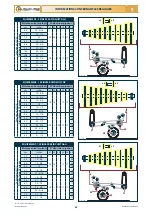 Preview for 117 page of Checchi & Magli FOX DRIVE PLUS Use And Maintenance Manual