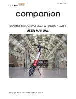 CHEELCARE Companion User Manual preview