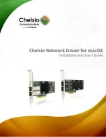 Chelsio Communications Terminator N310E Installation And User Manual preview