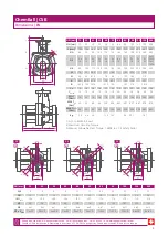 Preview for 9 page of ChemValve-Schmid ChemBall CSB Installation & Operating Instructions Manual