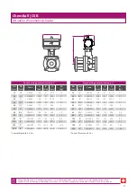 Preview for 13 page of ChemValve-Schmid ChemBall CSB Installation & Operating Instructions Manual