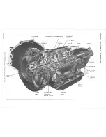 Предварительный просмотр 250 страницы Chevrolet 1977 Monte Carlo Repair Manual