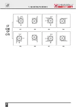 Preview for 29 page of Chiaravalli CHPL Series Installation, Maintenance And Operation Instructions