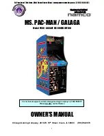 Chicago Gaming 9600 Owner'S Manual preview
