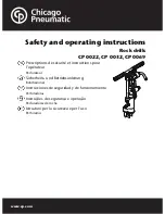 Chicago Pneumatic CP 0022 Safety And Operating Instructions Manual preview