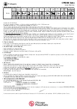 Preview for 10 page of Chicago Pneumatic CP0200 Series Operator'S Manual