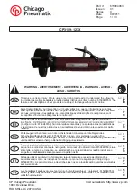 Preview for 1 page of Chicago Pneumatic CP3119-123X Manual