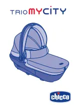 Chicco TrioMYCITY Instructions For Use Manual предпросмотр