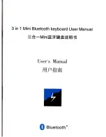 Chinavision CVPT-A163 User Manual preview