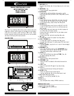 Chung’s Electronic C8466B User Manual preview