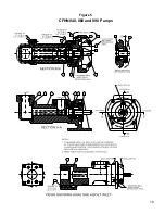 Предварительный просмотр 10 страницы Circor IMO CFHN Series Product Service Manual