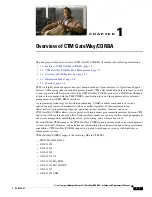 Предварительный просмотр 1 страницы Cisco CTM GateWay Overview Manual
