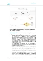 Предварительный просмотр 20 страницы Cisco FM1000 Gateway Installation And Configuration Manual