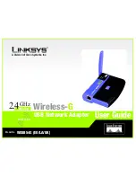 Cisco Linksys WUSB54G User Manual предпросмотр