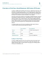 Preview for 10 page of Cisco SPA 303 User Manual