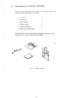 Предварительный просмотр 21 страницы Citizen CLP-4081 User Manual