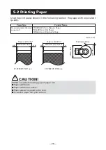 Предварительный просмотр 31 страницы Citizen CT-P290 User Manual