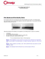 Preview for 19 page of Citronix ci5200 Technical & Service Manual