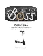 Preview for 17 page of CITY BOSS GT8 User Manual