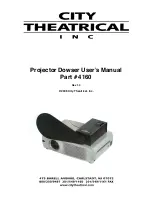 City Theatrical 4160 User Manual preview