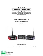 Предварительный просмотр 1 страницы City Theatrical The SHoW DMX 5691 User Manual