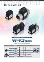 Предварительный просмотр 2 страницы CKD FLUEREX WFK2 Series Manual