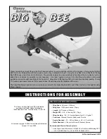 Clancy Aviation Big Bee Instructions For Assembly preview