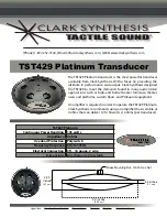 Clark Synthesis TST429 Specification preview