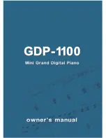 Clavitech GDP-1100 Owner'S Manual preview