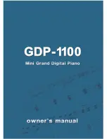 Preview for 1 page of Clavitech GDP-1100 Owner'S Manual