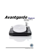 Clearaudio Avantgarde Magnum User Manual preview