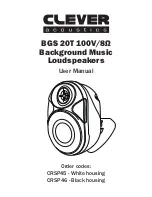 Clever Acoustics BGS 20T 100V/8? User Manual preview