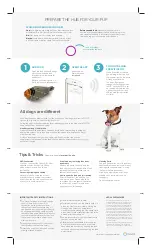 Preview for 2 page of CleverPet Hub Manual