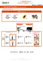 CLiC-iT C-PASS User Manual preview