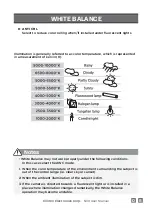 Preview for 13 page of Clinton Electronics CE-IDX15 User Manual