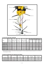 Предварительный просмотр 2 страницы CMCO Yale CPA ATEX 100-3 Operating Instructions Manual