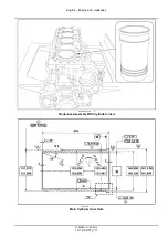 Preview for 30 page of CNH Cursor 13 Service Manual