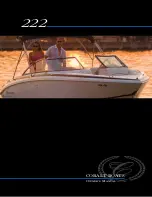 Cobalt Digital Inc 222 BOWRIDER Owner'S Manual preview