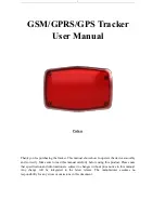 Coban GPS304 User Manual предпросмотр